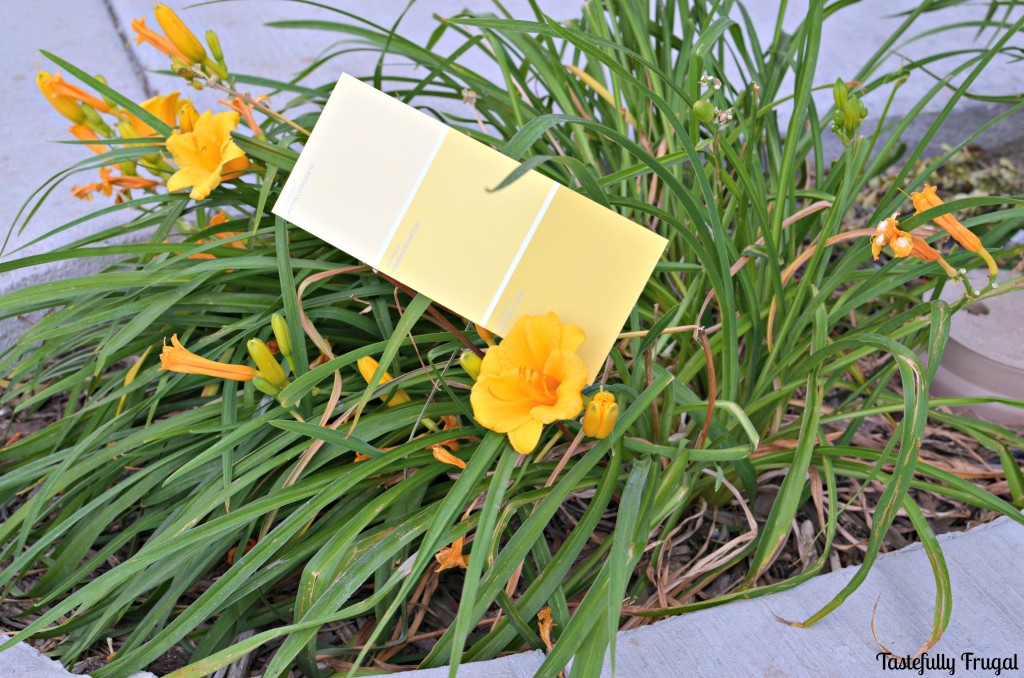 Paint Swatch Scavenger Hunt | Tastefully Frugal for Skip To My Lou