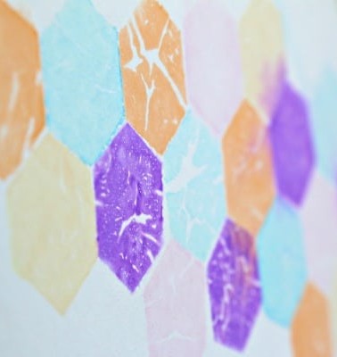 Tissue-wall-art