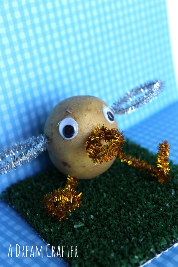 duck