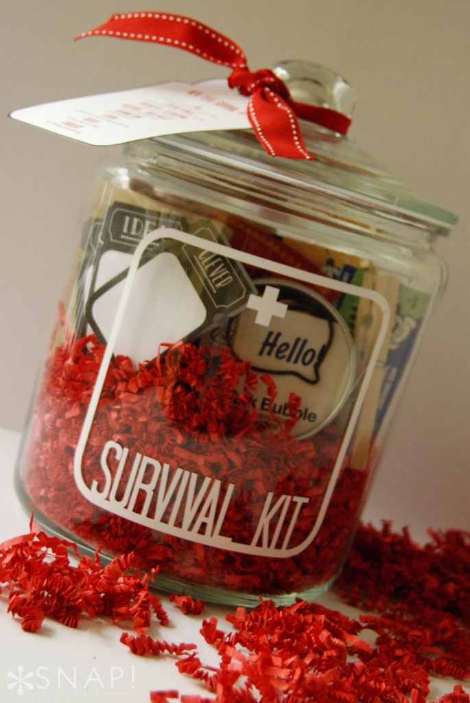 New-Year-Survival-Kit-7-685x1024