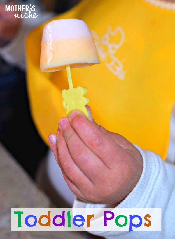 Easy DIY Toddler Pops