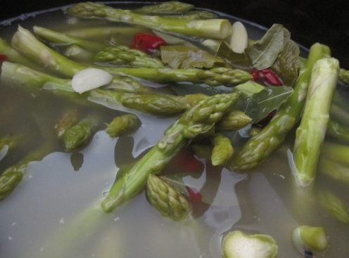 Fermentista.Kitchen 3