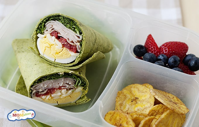 healthy wrap