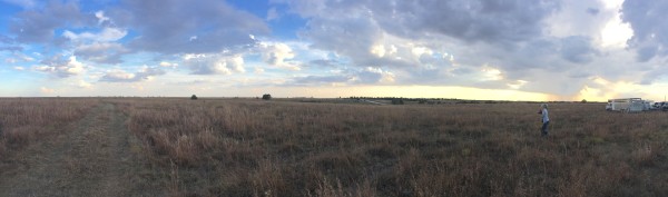 pano