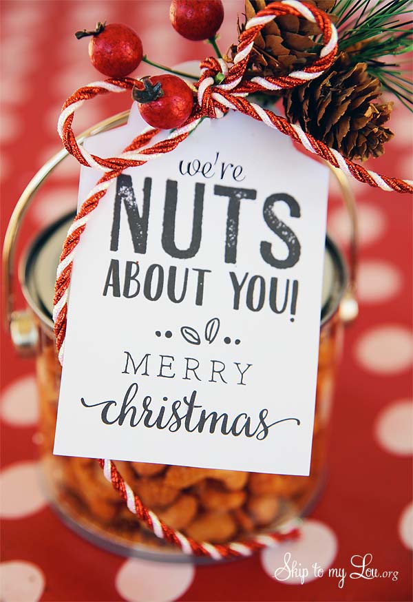 cute saying gift nuts about you