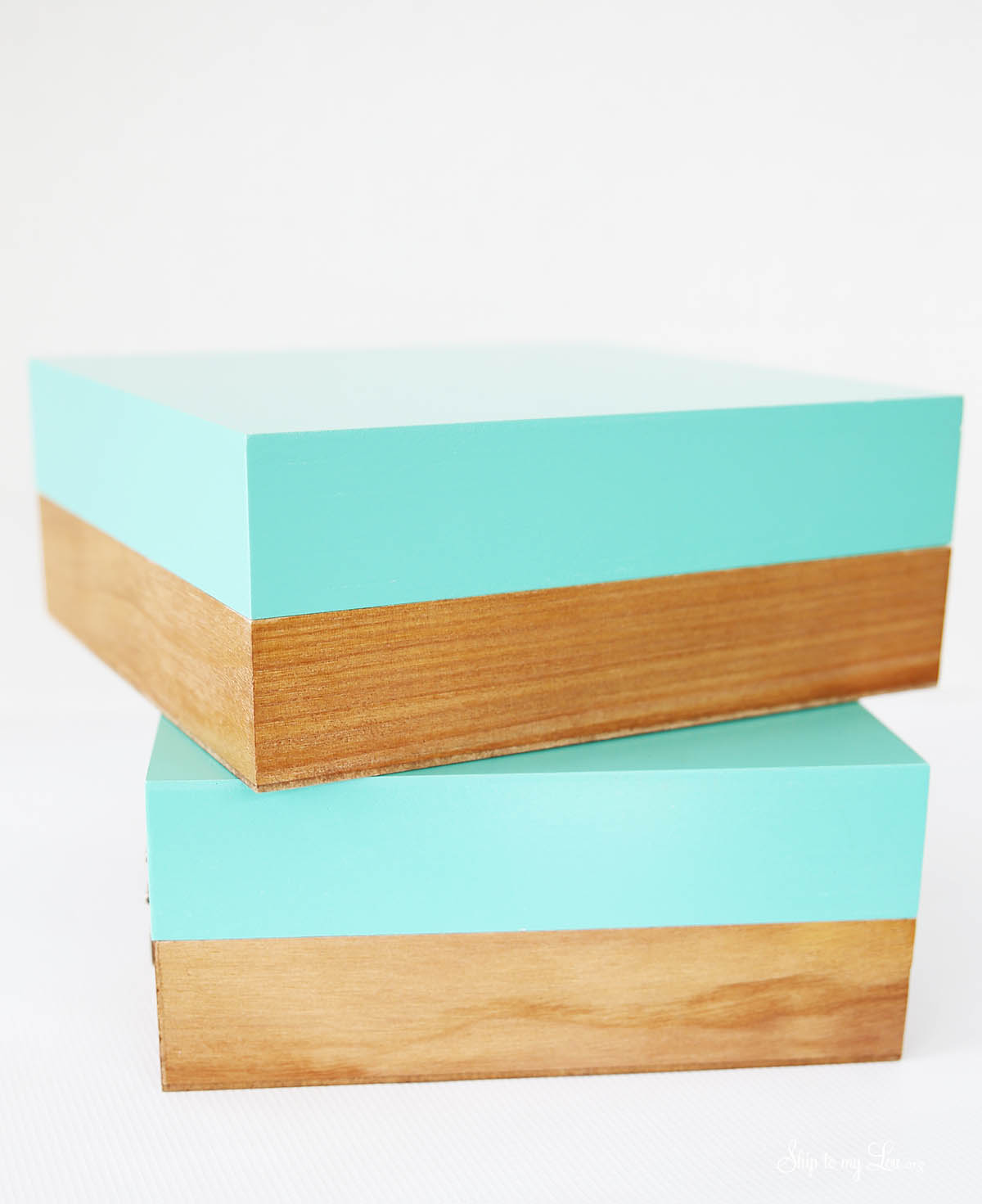 stylish organization