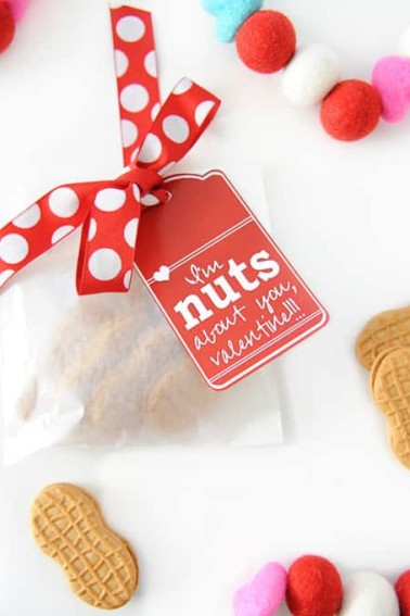Im-nuts-about-you-printable-handmade-valentine-1024x681.jpg