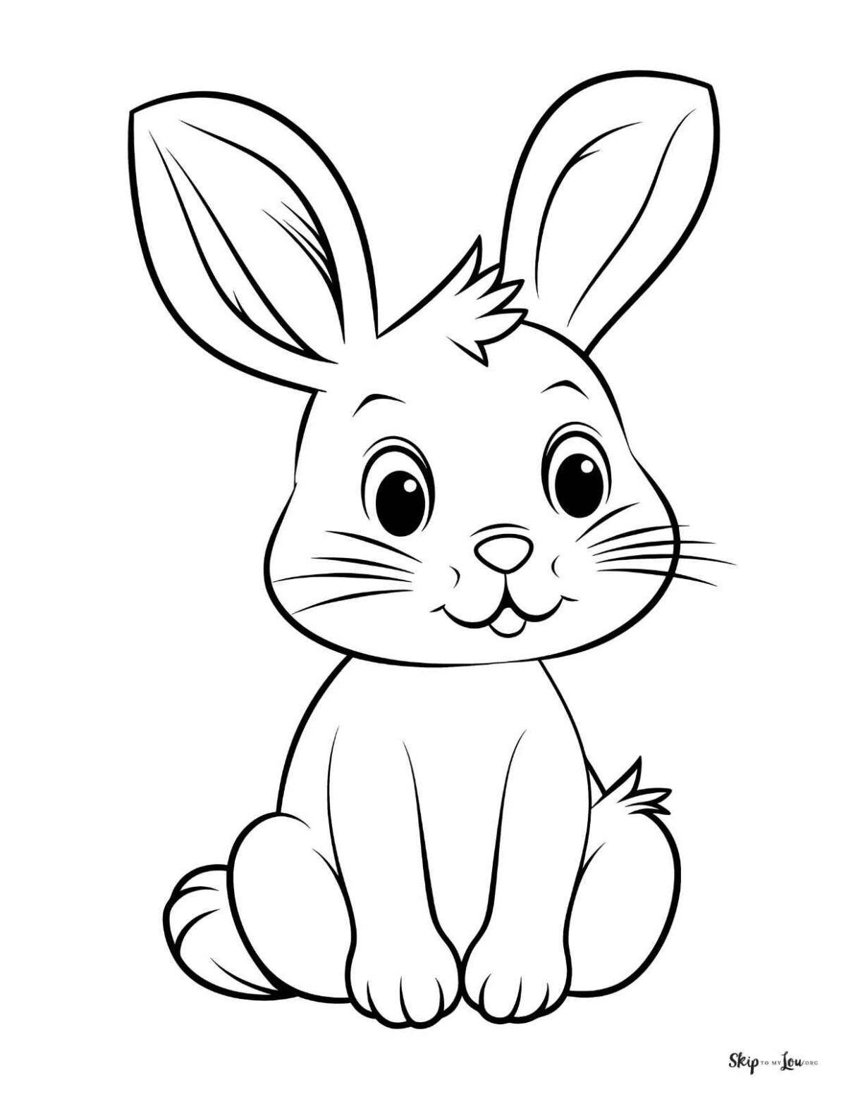 baby bunny sitting