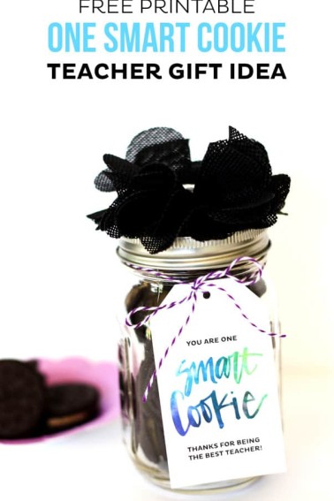 One-Smart-Cookie-Teacher-Gift-Idea-9-603x1024.jpg