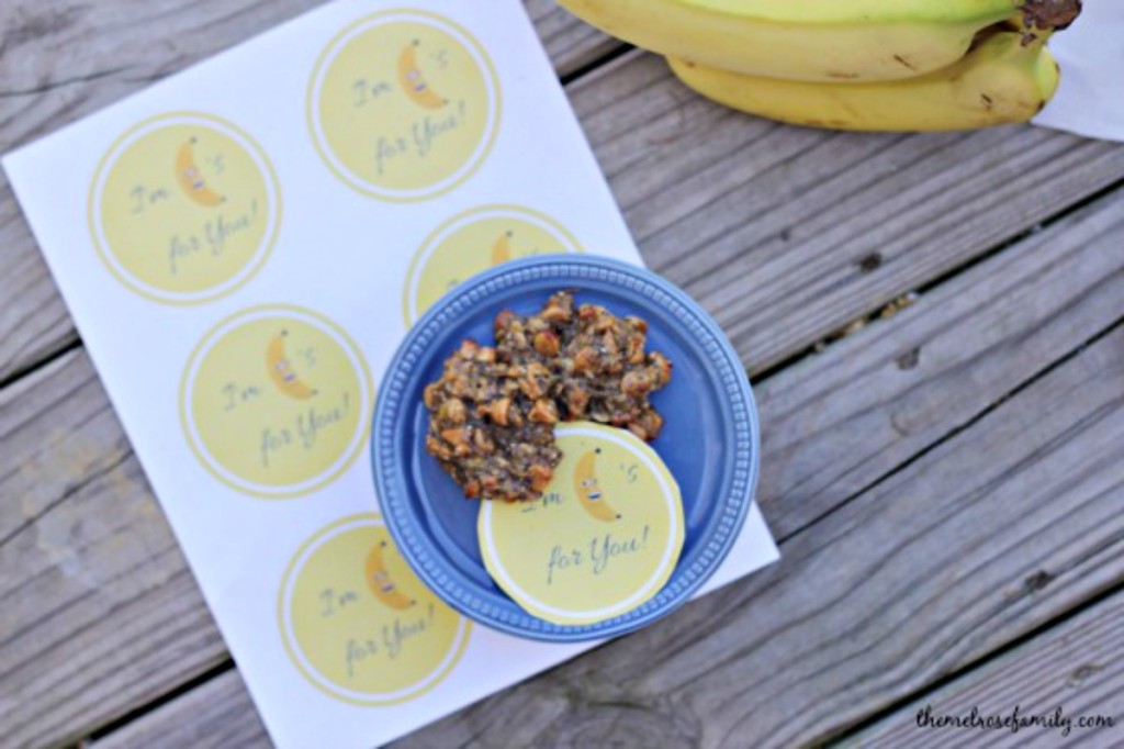 Teacher Appreciation Gift printables long