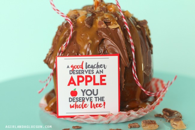 a good teacher deserves an apple