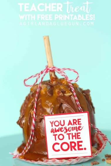 teacher-appreciation-apple-treat-with-free-printables-a-girl-and-a-glue-gun.jpg