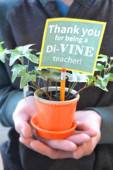 teachers-gift-683x1024.jpg