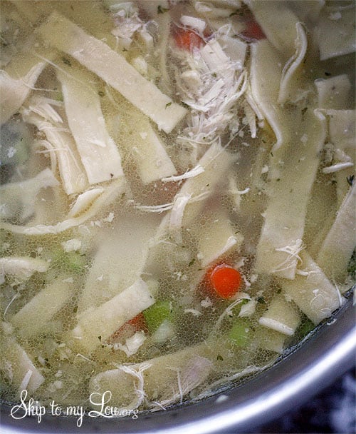 homemade-chicken-noodle-soup