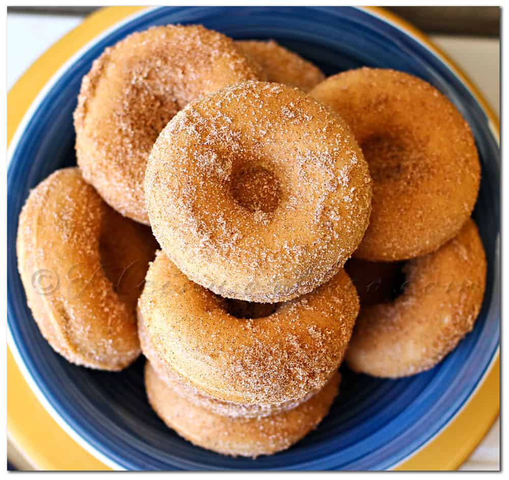 churro-donuts
