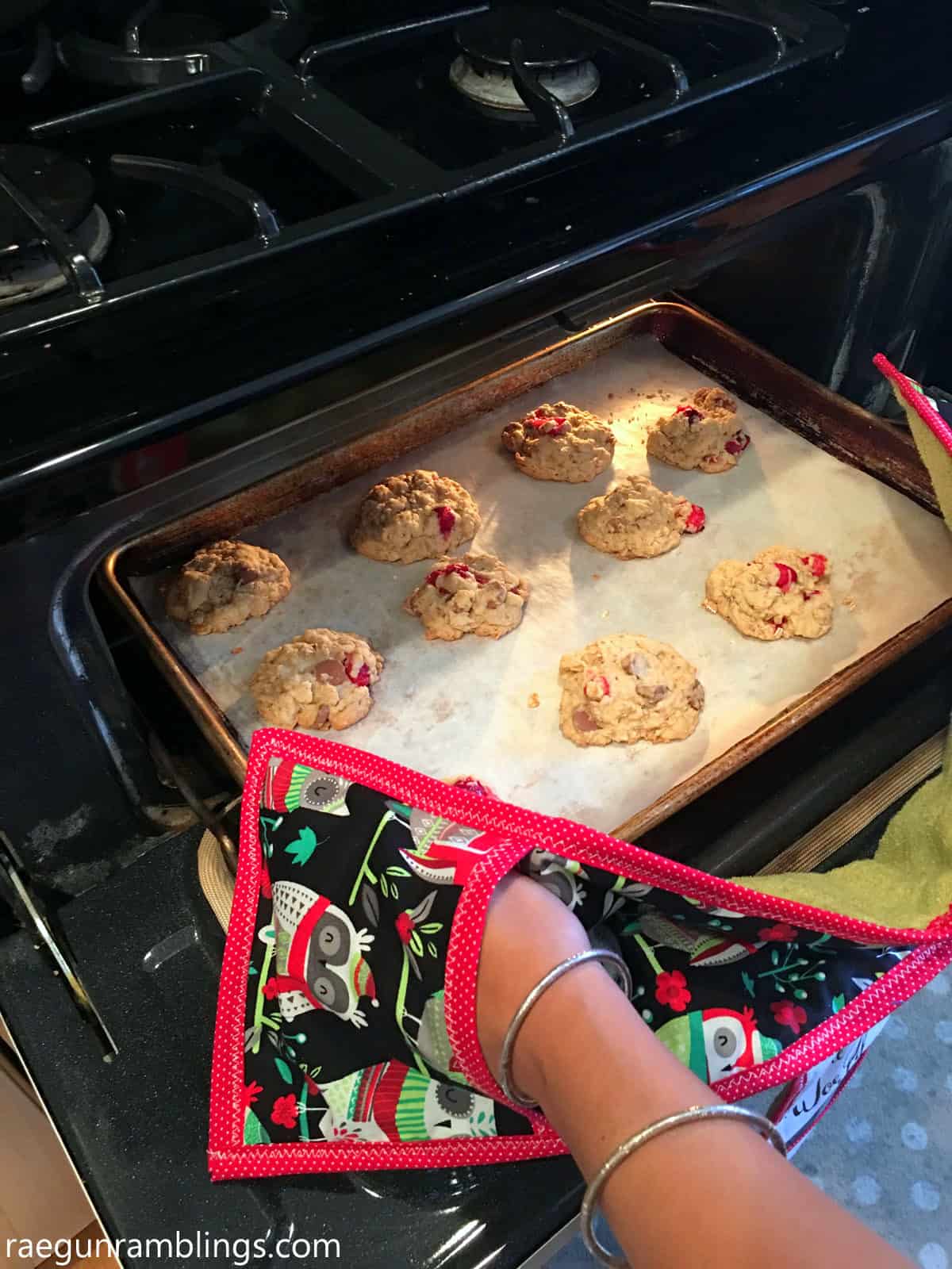 raegunrablings.com Christmas potholder towel craft being used to take cookies out of the oven. -Skip To My Lou