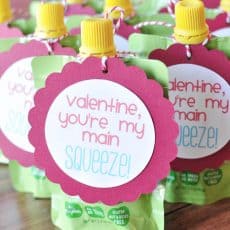 squeezable fruit with youre my main squeeze tag