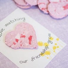 heart seed paper