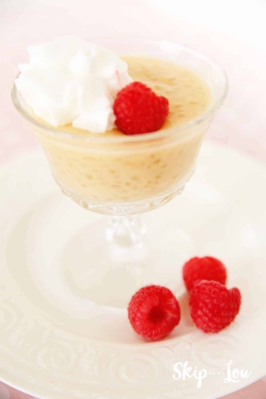 instant pot pressure cooker tapioca pudding