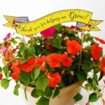thank you for helping me grow teacher gift