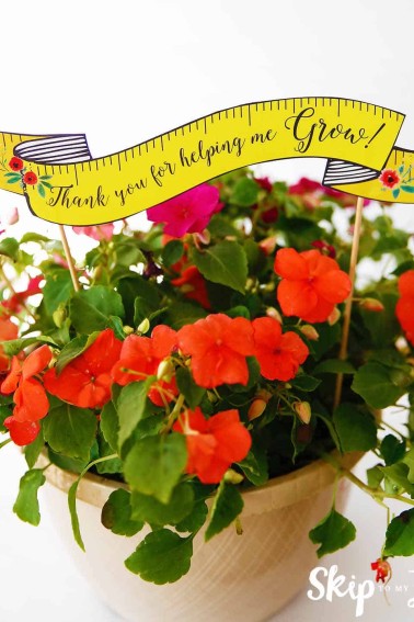 thank you for helping me grow teacher gift