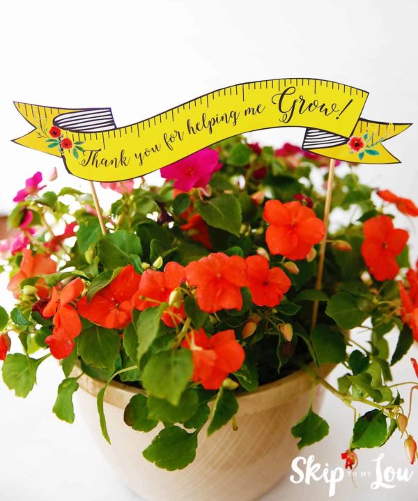 thank you for helping me grow teacher gift