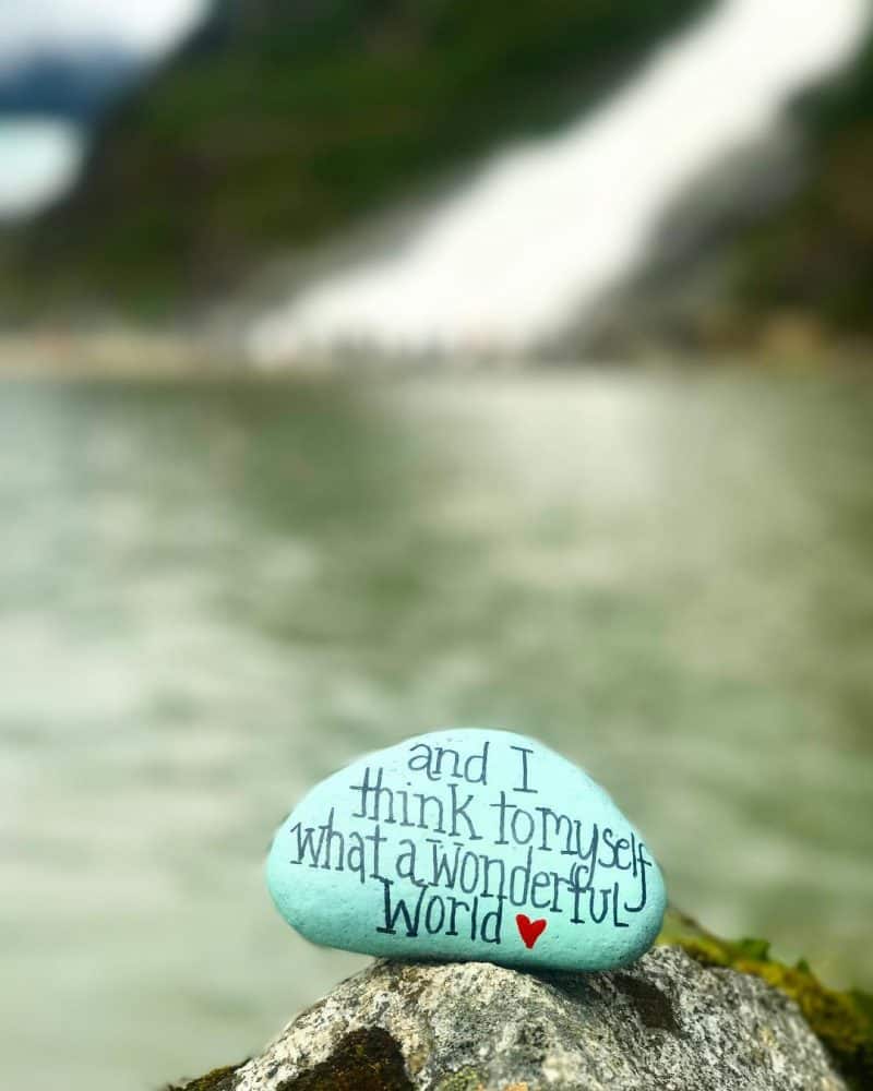 Beautiful painted kindness rock paint with quote