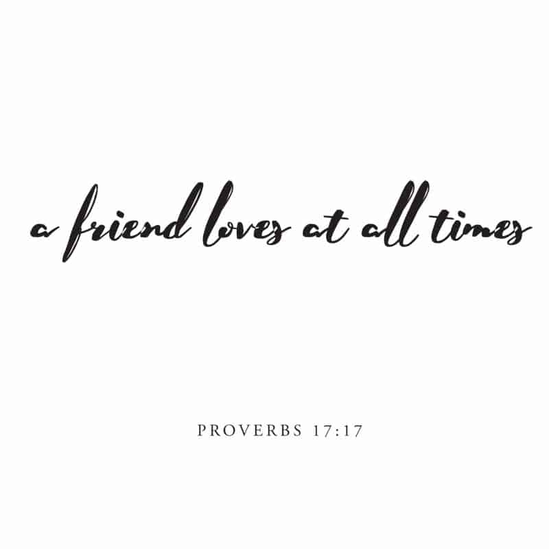 Ein Freund liebt zu allen Zeiten Vers