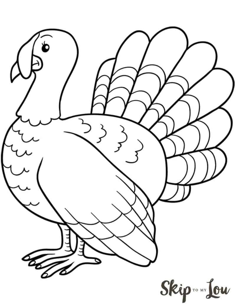 710 Top Turkey Bird Coloring Pages Pictures