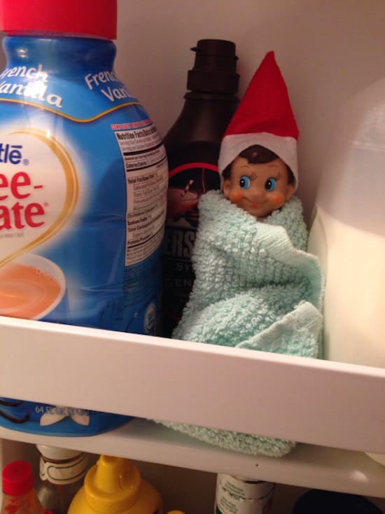 elf in fridge wrapped in a blanket to stay warm