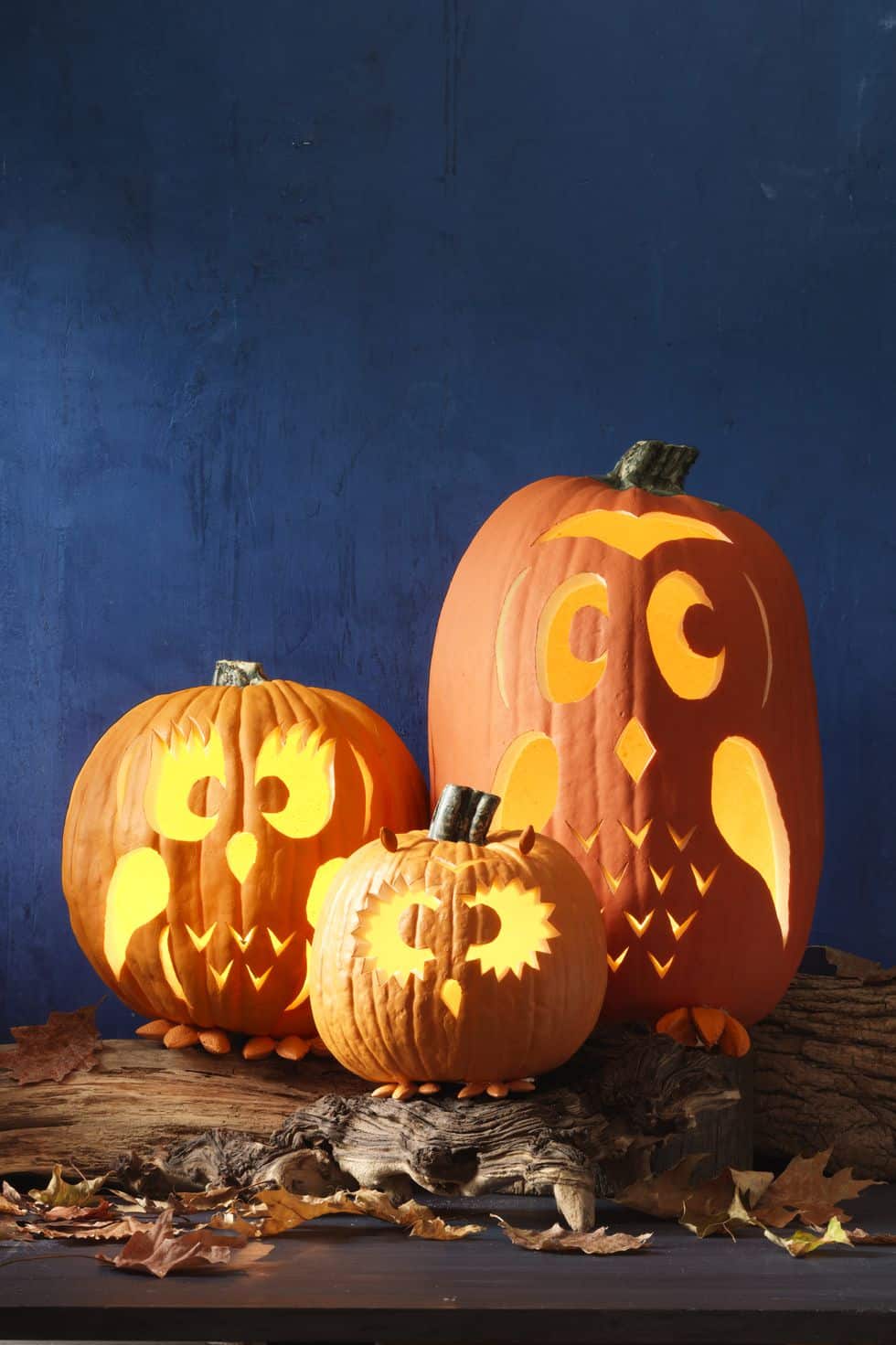 jack o lantern