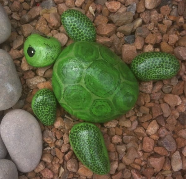 turtle painted rock