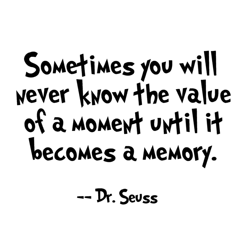 Sometimes you will never know the value of a moment until it becomes a memory. -Dr. Seuss