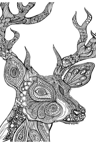 deer coloring page