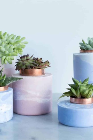 ombre planters
