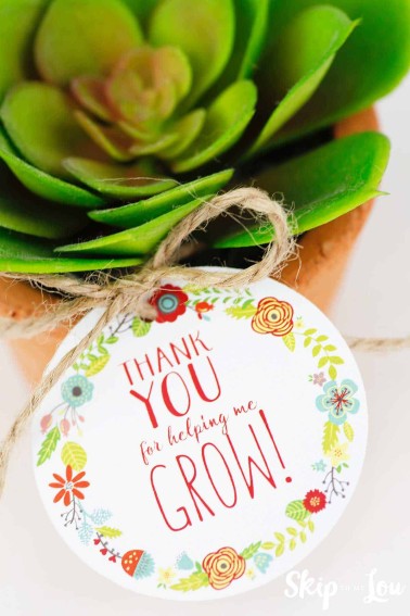 thank you for helping me grow tag on succulent on tera cotta pot