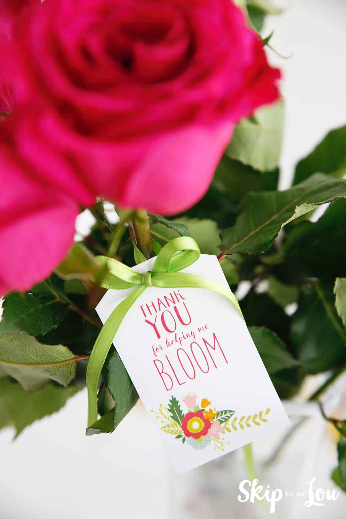 thank you for helping me bloom tag tied to pink roses