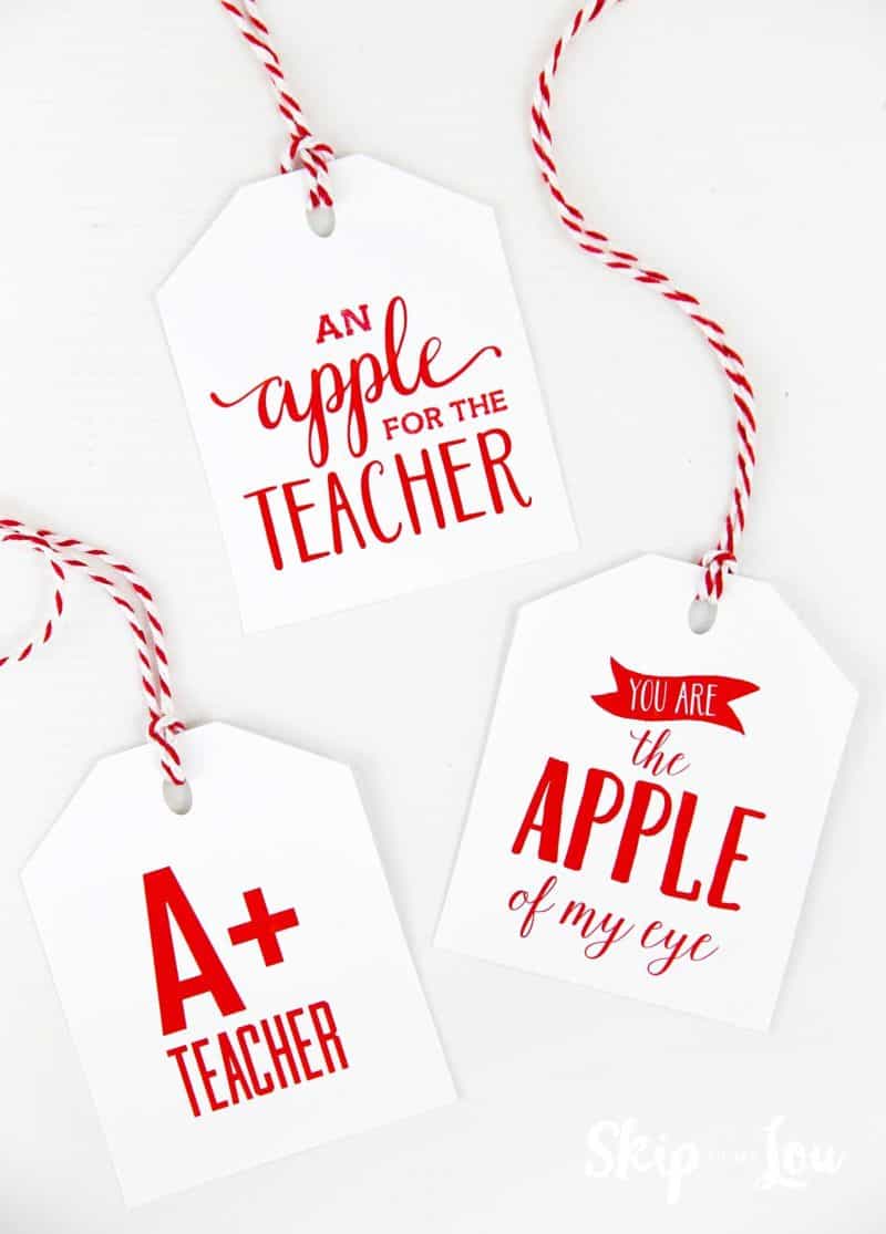 Apple Theme Teacher Gifts Skip To My Lou