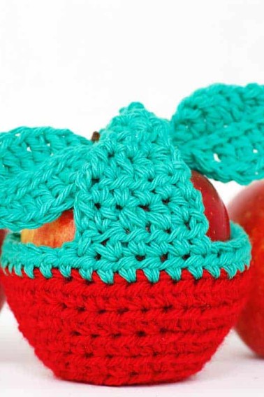 apples and apple in cozy