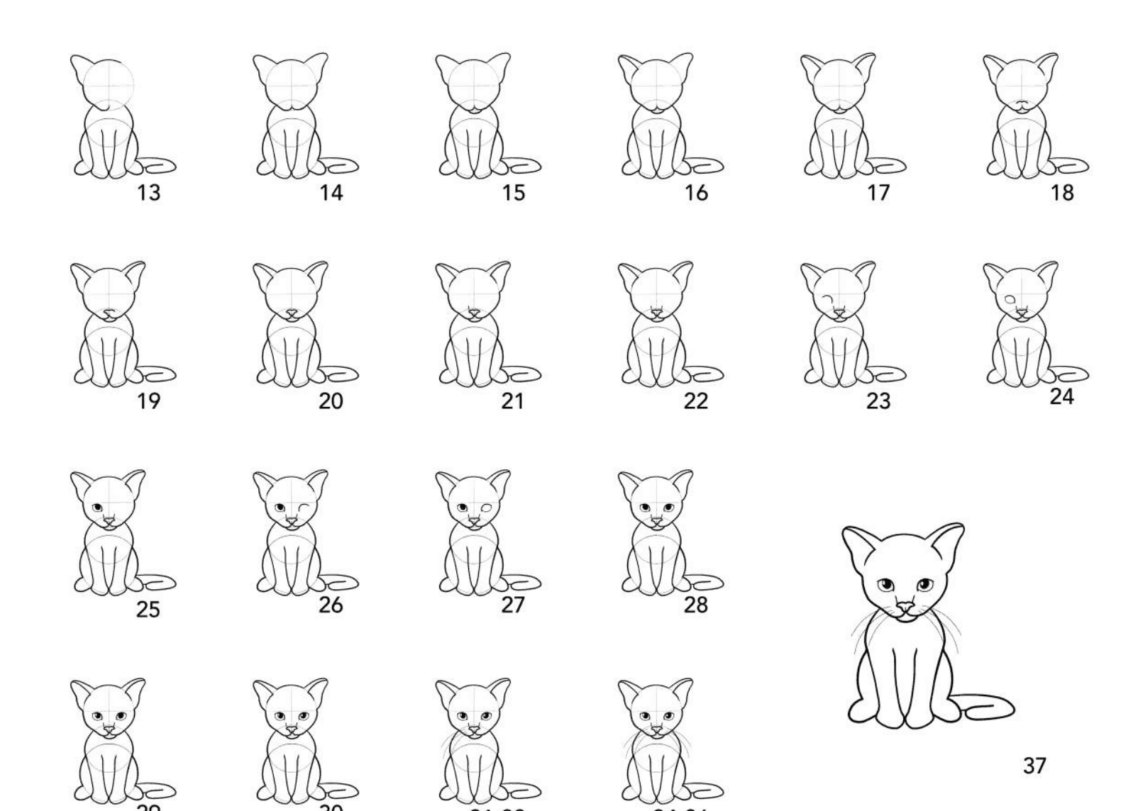 cat step by step