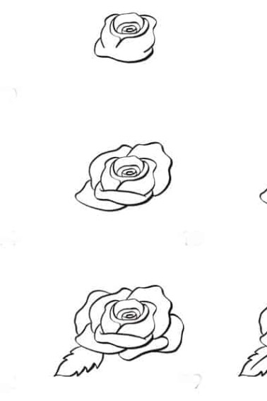 step by step rose drawing