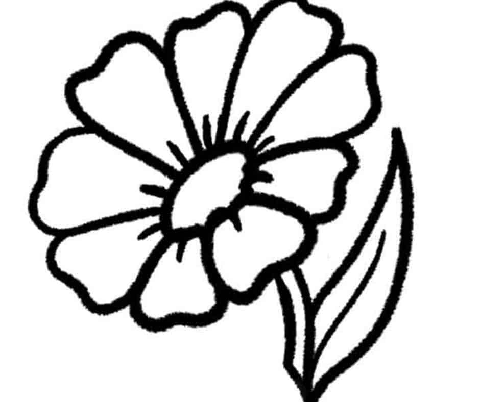 Featured image of post Cute Drawings Easy Flowers : So, here you go, sketch (approximately) the five petals.