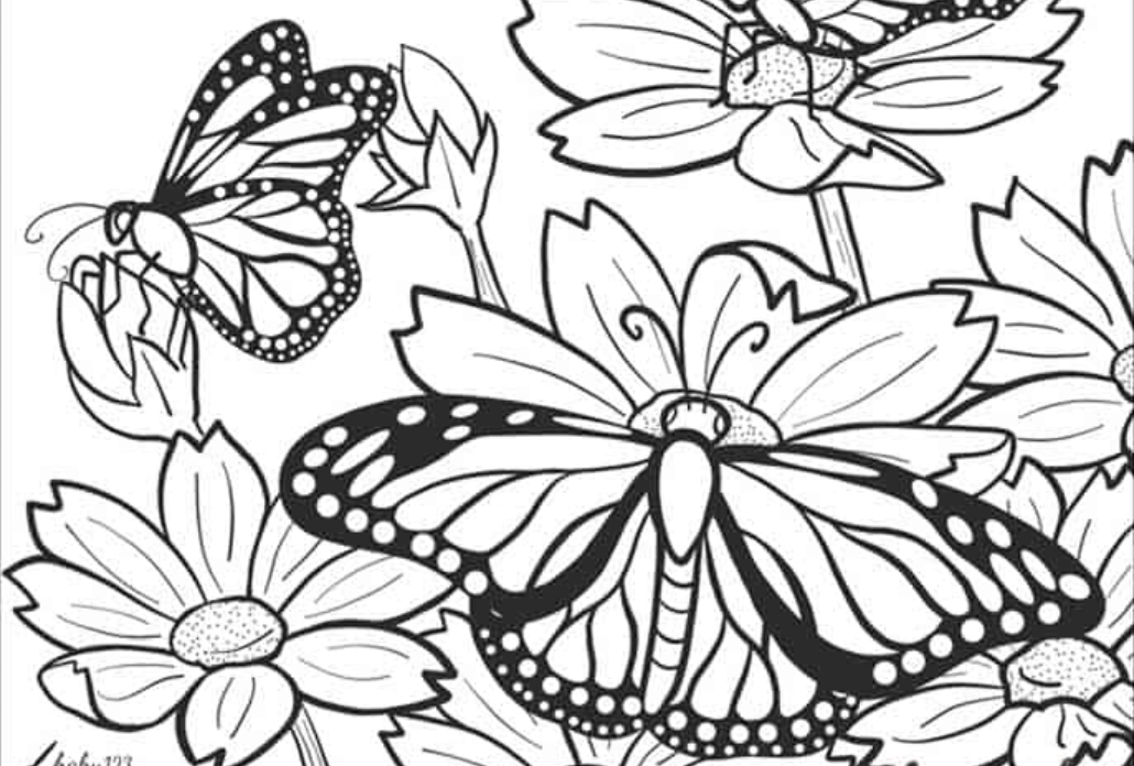 beautiful butterfly coloring pages  skip to my lou