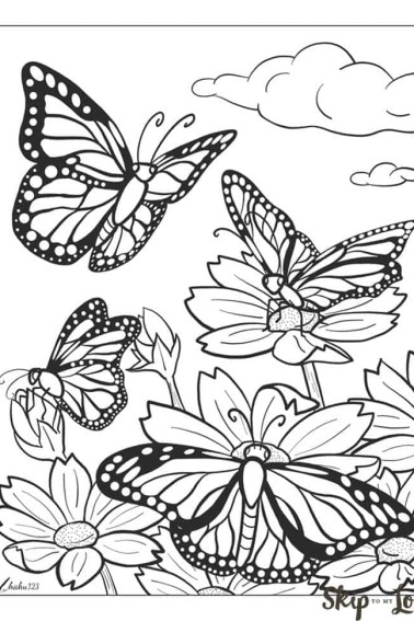 butterfly coloring page