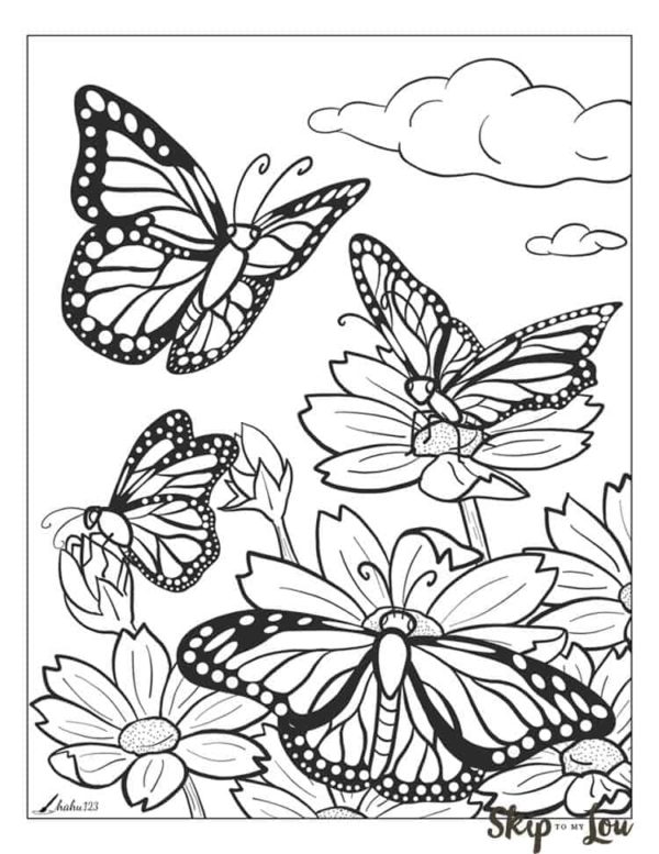butterfly coloring page