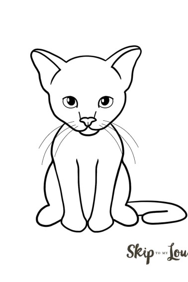 cat drawing
