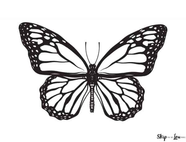 monarch butterfly not colored