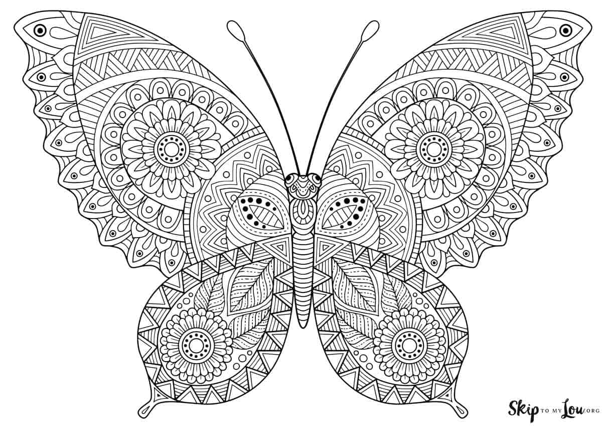 Beautiful Butterfly Coloring Pages Skip To My Lou