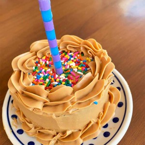 Dog birthday cake with candle