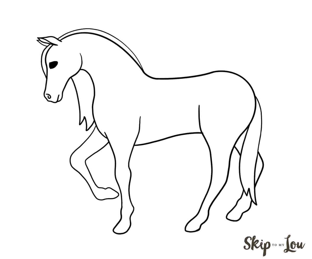 horse  black and white